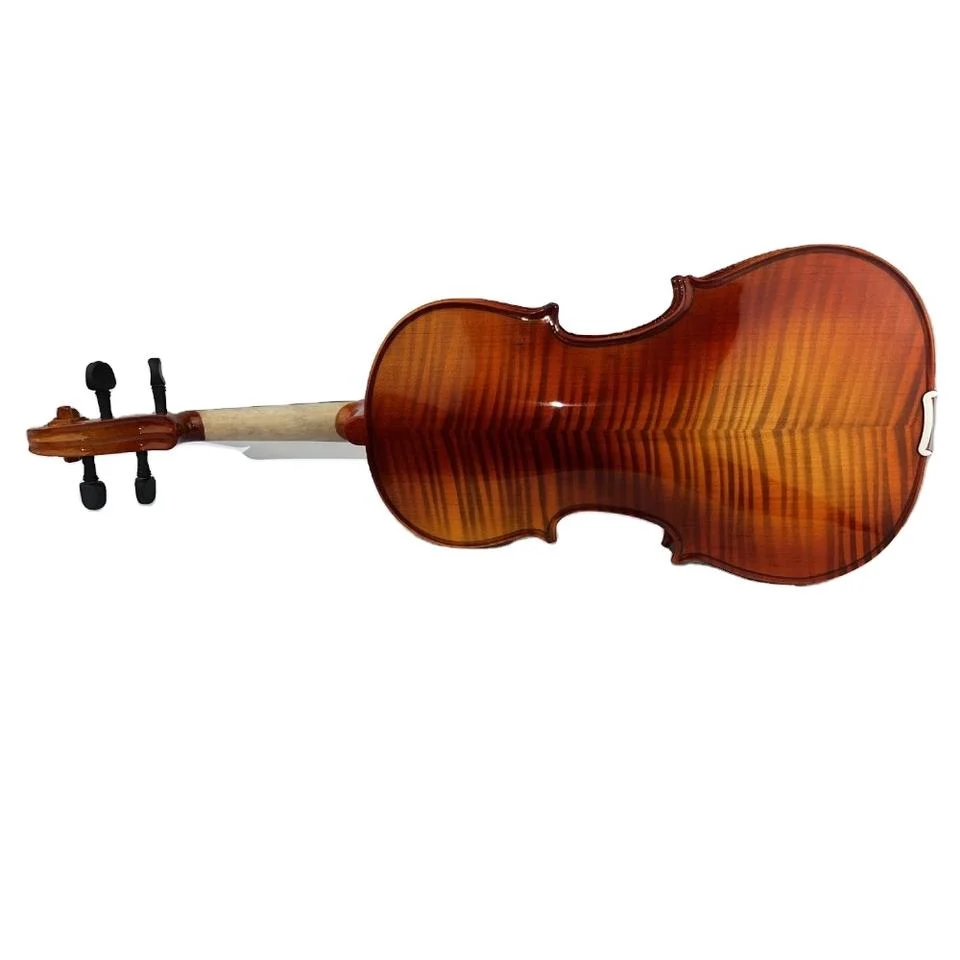 Student Solid Spruce Wood Viola