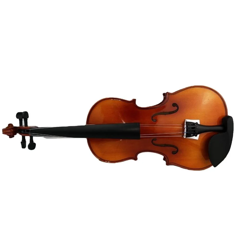 Student Solid Spruce Wood Viola